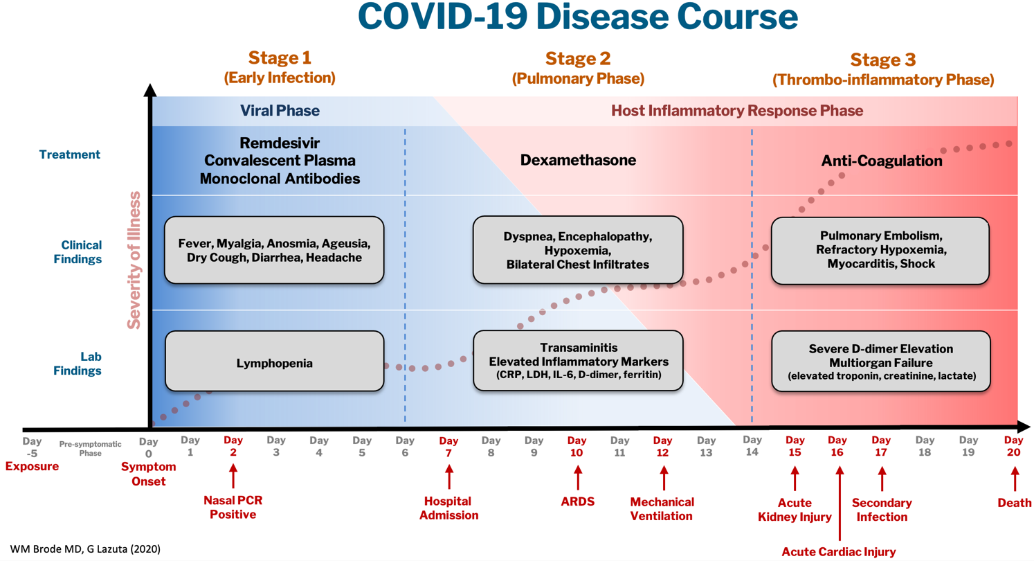 COVID-19 Disease Course Graph